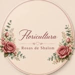 Rosas de Shalom